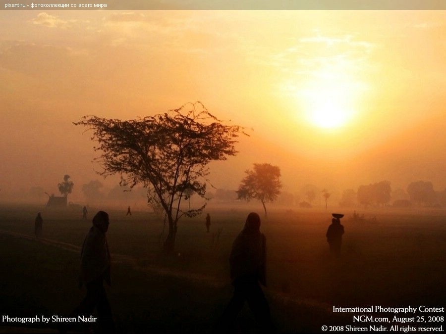 Фото Фотоконкурс National Geographic: Удивительная природа из раздела  /