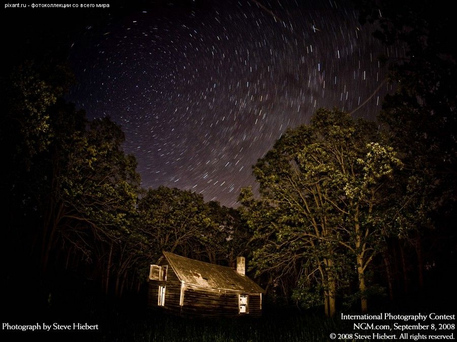 Фото Фотоконкурс National Geographic: Удивительная природа из раздела  /