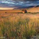 Фото Фотоконкурс National Geographic: Удивительная природа из раздела  /