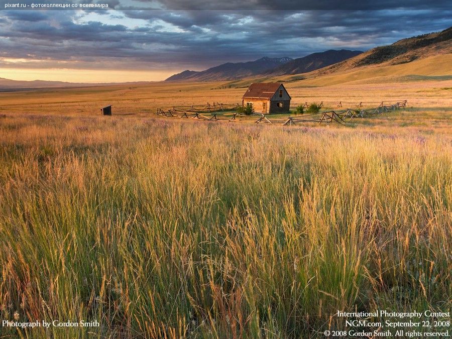 Фото Фотоконкурс National Geographic: Удивительная природа из раздела  /