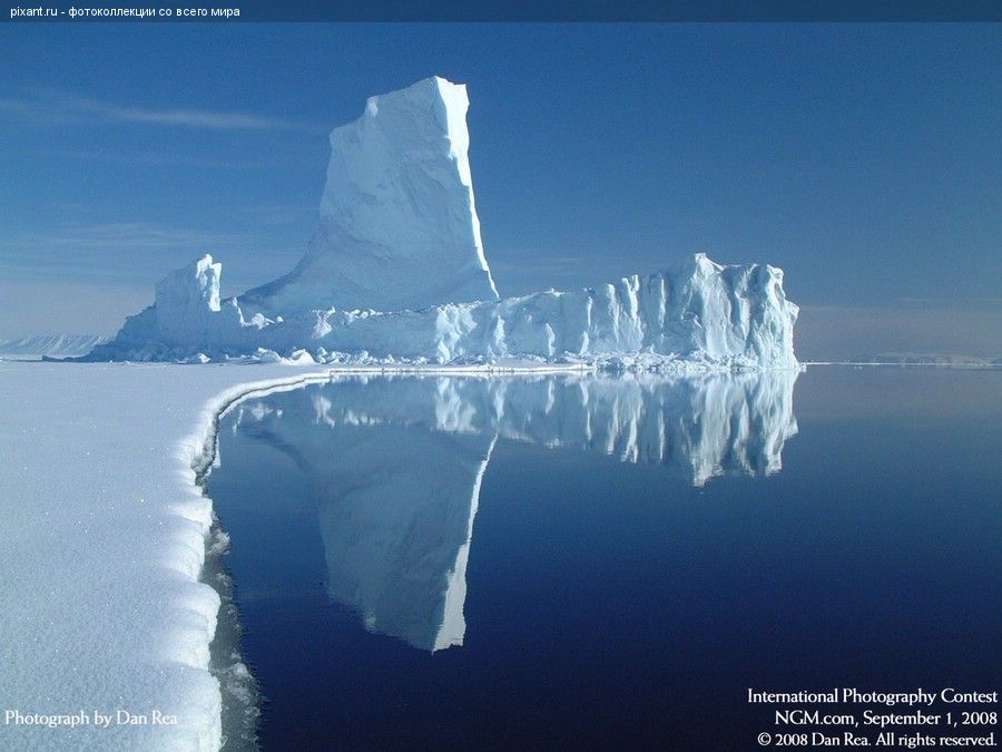 Фото Фотоконкурс National Geographic: Удивительная природа из раздела  /
