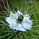 Фото Фотоконкурс National Geographic: Удивительная природа из раздела /