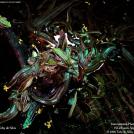 Фото Фотоконкурс National Geographic: Удивительная природа из раздела /