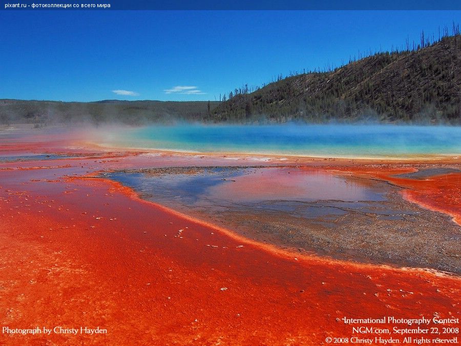 Фото Фотоконкурс National Geographic: Удивительная природа из раздела  /