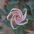 Фото Фотоконкурс National Geographic: Удивительная природа из раздела /