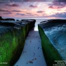 Фото Фотоконкурс National Geographic: Удивительная природа из раздела /