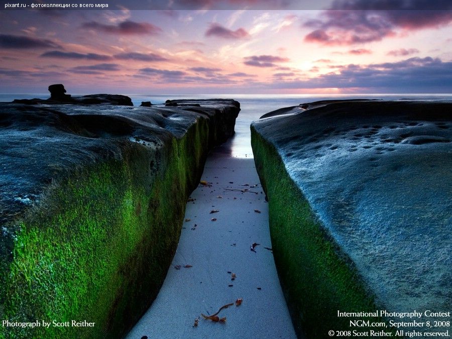 Фото Фотоконкурс National Geographic: Удивительная природа из раздела  /