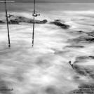 Фото Фотоконкурс National Geographic: Удивительная природа из раздела  /