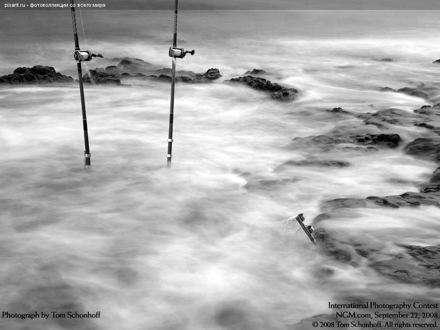 Фото Фотоконкурс National Geographic: Удивительная природа из раздела  /