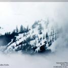 Фото Фотоконкурс National Geographic: Удивительная природа из раздела  /