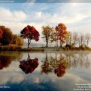 Фото Фотоконкурс National Geographic: Удивительная природа из раздела  /