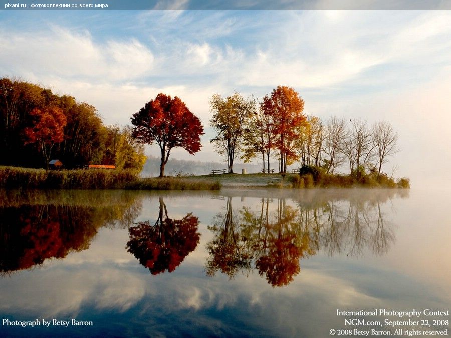 Фото Фотоконкурс National Geographic: Удивительная природа из раздела  /