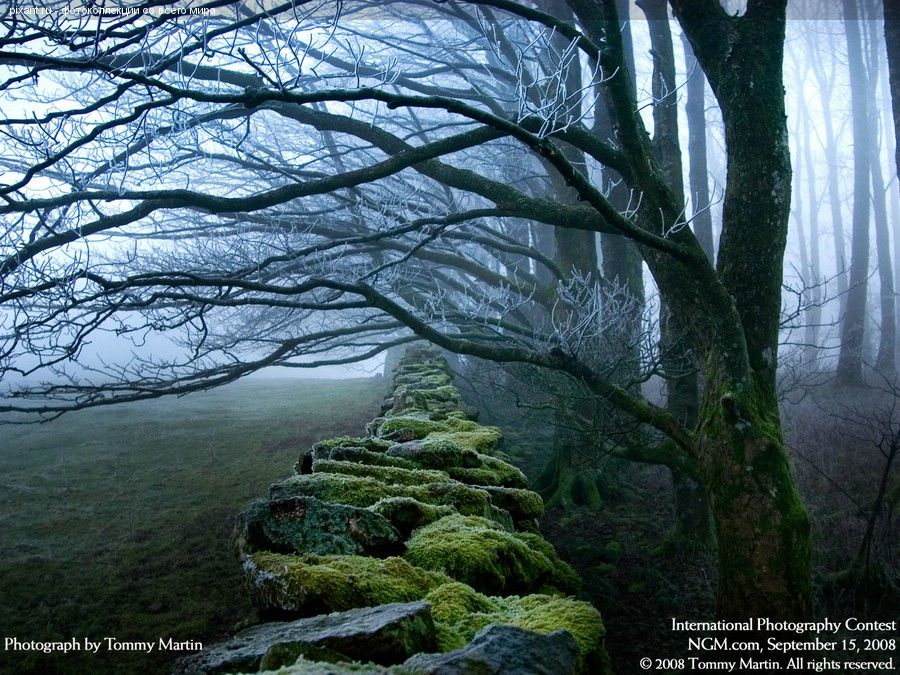 Фото Фотоконкурс National Geographic: Удивительная природа из раздела  /