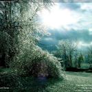 Фото Фотоконкурс National Geographic: Удивительная природа из раздела  /