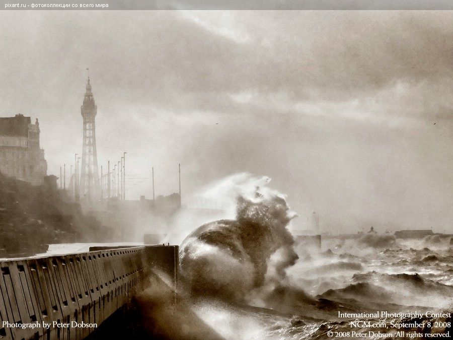 Фото Фотоконкурс National Geographic: Удивительная природа из раздела  /