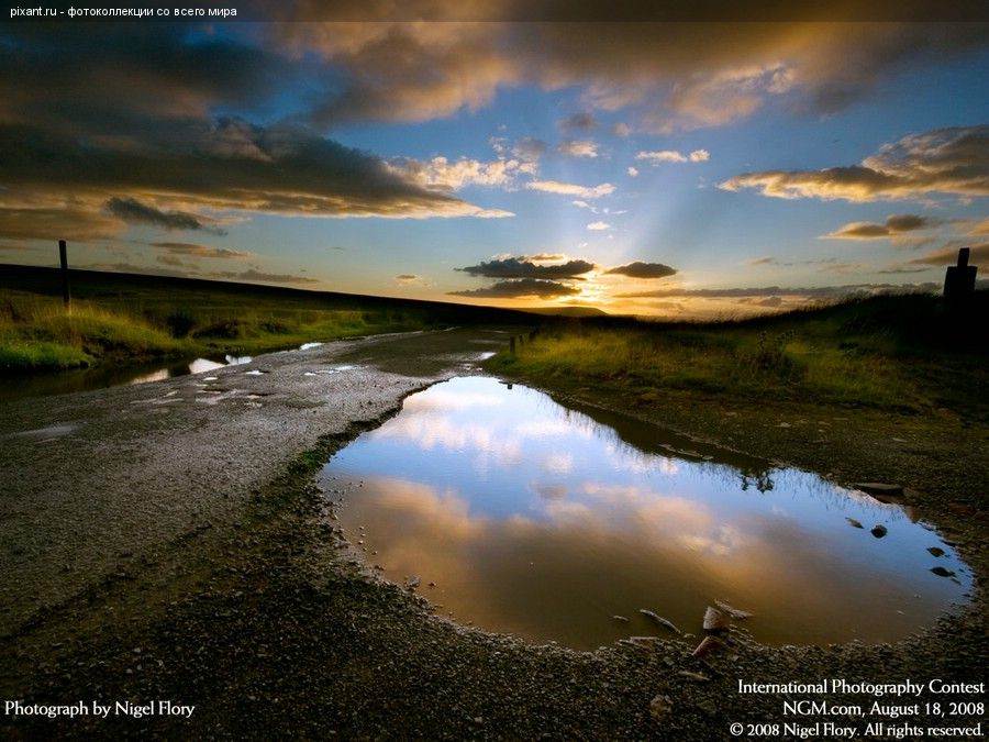 Фото Фотоконкурс National Geographic: Удивительная природа из раздела  /