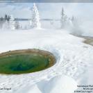 Фото Фотоконкурс National Geographic: Удивительная природа из раздела  /