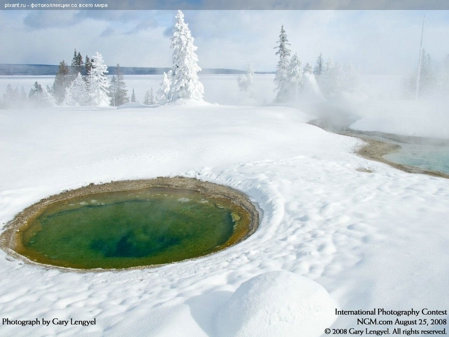 Фото Фотоконкурс National Geographic: Удивительная природа из раздела  /
