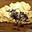 Фото Фотоконкурс National Geographic: Удивительная природа из раздела  /