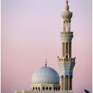 Фото Эль-Айн: оазис в пустыне. Абу-Даби, ОАЭ  (19 фото) из раздела  /