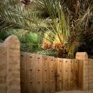 Фото Эль-Айн: оазис в пустыне. Абу-Даби, ОАЭ  (19 фото) из раздела  /