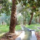 Фото Эль-Айн: оазис в пустыне. Абу-Даби, ОАЭ  (19 фото) из раздела  /