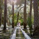 Фото Эль-Айн: оазис в пустыне. Абу-Даби, ОАЭ  (19 фото) из раздела  /