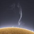 Фото Алан Фридман: Солнце в альфа-водородном фильтре (16 фото) из раздела  /