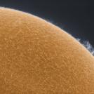 Фото Алан Фридман: Солнце в альфа-водородном фильтре (16 фото) из раздела  /