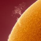 Фото Алан Фридман: Солнце в альфа-водородном фильтре (16 фото) из раздела  /