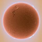 Фото Алан Фридман: Солнце в альфа-водородном фильтре (16 фото) из раздела  /