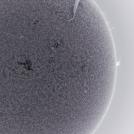 Фото Алан Фридман: Солнце в альфа-водородном фильтре (16 фото) из раздела  /