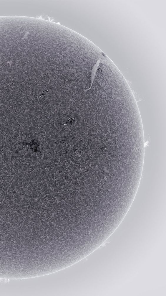 Фото Алан Фридман: Солнце в альфа-водородном фильтре (16 фото) из раздела  /