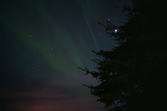 Фото Анна Аден: многообещающий шведский фотограф (32 фото) из раздела  /