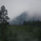 Фото Анна Аден: многообещающий шведский фотограф (32 фото) из раздела  /