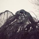 Фото Анна Аден: многообещающий шведский фотограф (32 фото) из раздела  /