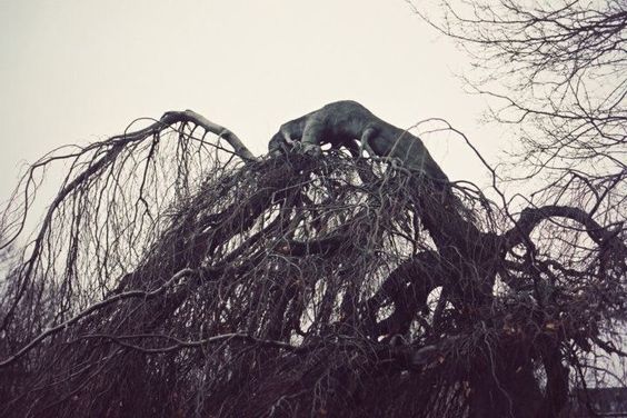 Фото Анна Аден: многообещающий шведский фотограф (32 фото) из раздела  /