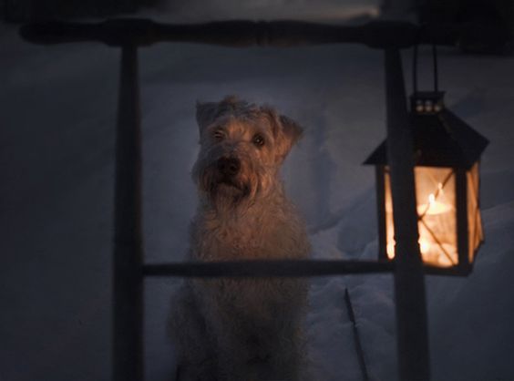 Фото Анна Аден: многообещающий шведский фотограф (32 фото) из раздела  /