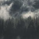 Фото Анна Аден: многообещающий шведский фотограф (32 фото) из раздела  /