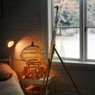 Фото Анна Аден: Зимняя сказка по шведски (11 фото) из раздела  /