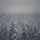 Фото Анна Аден: Зимняя сказка по шведски (11 фото) из раздела  /