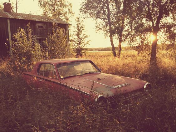 Фото Анна Аден: Сила лета (62 фото) из раздела  /