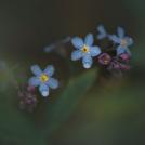 Фото Анна Аден: Сила лета (62 фото) из раздела  /