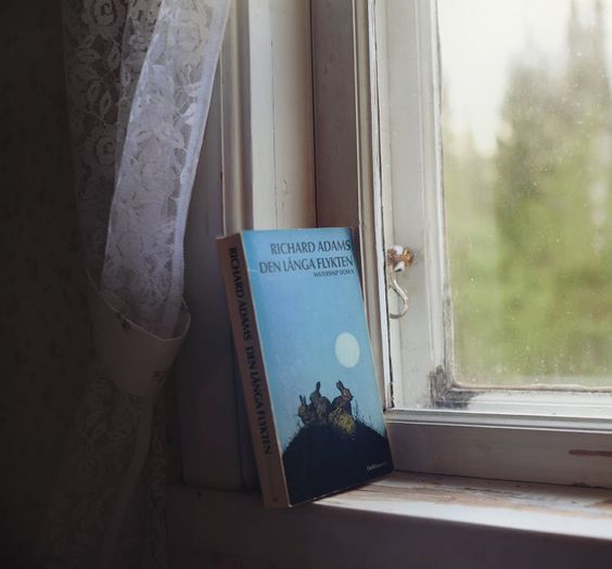 Фото Анна Аден: Сила лета (62 фото) из раздела  /