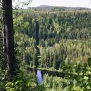 Фото Анна Аден: Сила лета (62 фото) из раздела  /