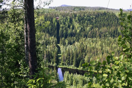 Фото Анна Аден: Сила лета (62 фото) из раздела  /