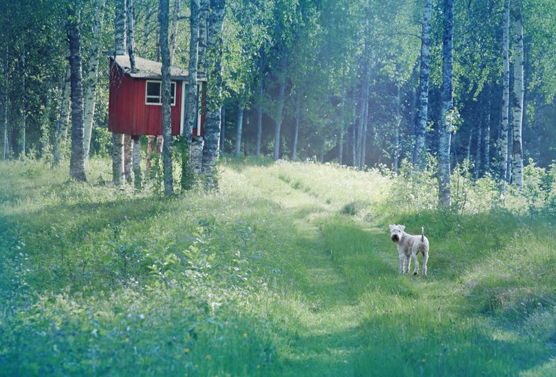 Фото Анна Аден: Сила лета (62 фото) из раздела  /