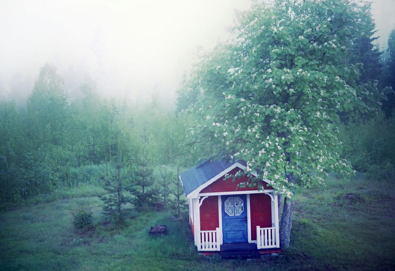 Фото Анна Аден: Сила лета (62 фото) из раздела  /