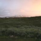 Фото Анна Аден: Сила лета (62 фото) из раздела  /