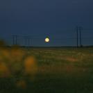 Фото Анна Аден: Сила лета (62 фото) из раздела  /